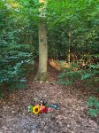 ein Bild aus dem Album